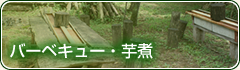 バーベキュー・芋煮
