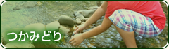 つかみどり