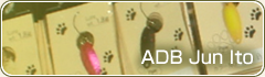 ADB Jun Ito